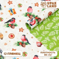 Paper packaging glossy bilateral 