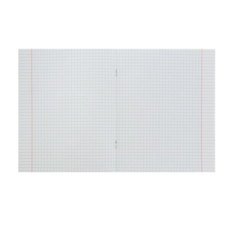 Notebook of 46 sheets in the “Daring Physics” cage, covered cardboard, matte lamination, selective varnish, with reference information-2