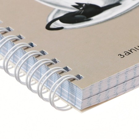 Note book A6, 120 sheets in the cage on the crest "Paise", covered cardboard, mix-6