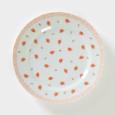 Porcelain plate 