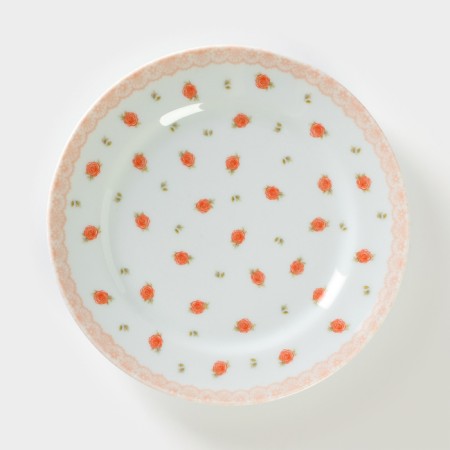 Porcelain plate "Shebbi chic", d = 17.5 cm