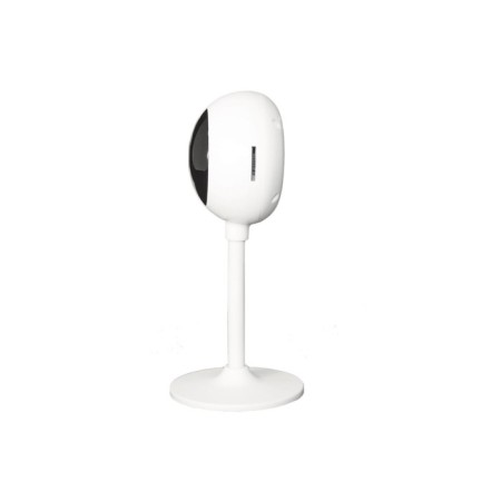CCTV camera IP Falcon Eye Spaik 2 3.6-3.6 mm, color-2