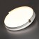 Lamp Olidi White LED 30W 4000K D340 IP43