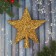 Top "Star" Blisting, 20x22 cm, gold