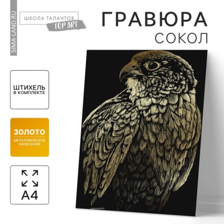 Engraving "Falcon" with a metallic effect of gold A4