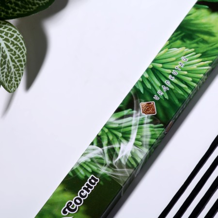 Incense "Charm of East Pine", 20 sticks in packaging-1