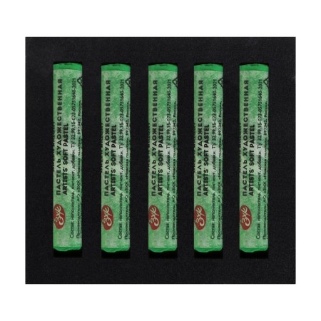 Pastel Dry artistic Extra Soft, ZHK master class, 10/65 mm, green bright 253137753-3