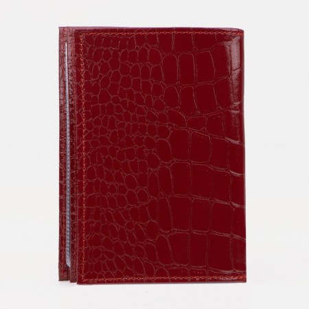 Cover for autoDocations and passports, red color-1