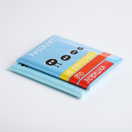 Gift set: 2 covers for a passport, blue color-3