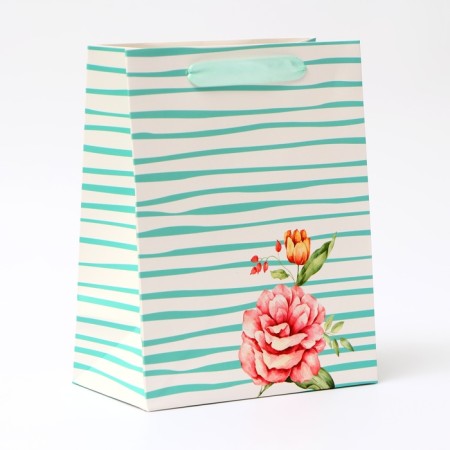 Laminated "Strips" package, MS 18 × 23 × 10 cm