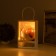 Ночник «Букет роз» красный LED 3хAG10 7.5х15.5х23см