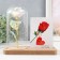 Photo frame 9x13 cm Light "Holography. Rose in a flask" from batteries 2xlr1130 9.8x19.5x18 cm