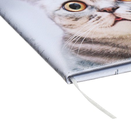 The universal diary for grade 1-11 did not take the sausage, solid cover, artificial leather, with foam rubber, liesse, 80 g/m2-2
