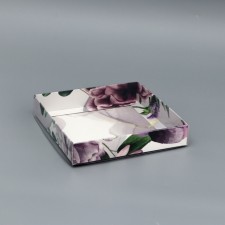 Box of the team with PVC lid, 