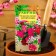 Flower seeds Pelargonium "Summer Rain", ampel, mixture, 3 pcs