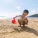 Toy for the sandbox "Lake", red