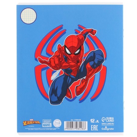 A set of first grader in the folder, spider-man, 40 items-13