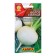 Seeds Daikon White Sun Or. And c/p 1g