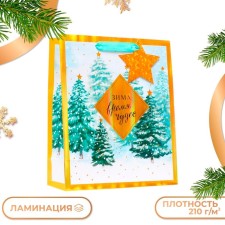 Gift package 