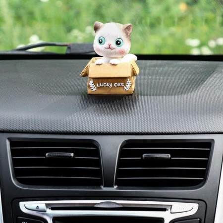 Happy Cat on a car panel shocking his head, SP23-2