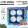 New Year's set for creativity. Christmas balls for coloring "Funny New Year", 4 pcs, d = 5.5 cm