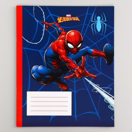 Notebook in a cage 12 sheets, 5 types of mix, cover coated cardboard, spider-man-7