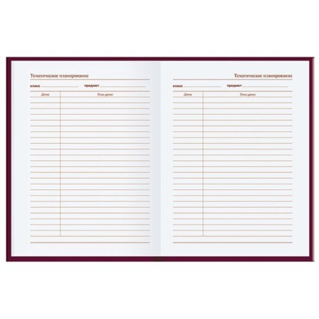 Diary for the teacher A6+, 128 sheets "Beautiful View", hard cover, UV-LK, OFSET Block 65 g/m2-4