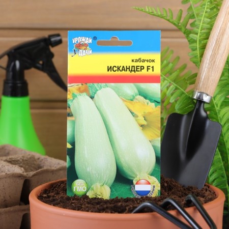 Semen zucchini "Iskander", F1.3 pcs.-2