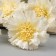Artificial flowers "Clove Caspar Galant" 58x7 cm, white