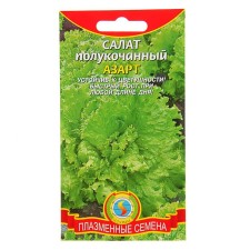 Seminated Salad Seeds 
