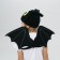 Carnival set of "Dragosha": wings and hat