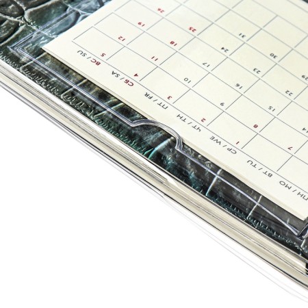 The weekly dated 2025, Escalada "Snake", 180 x 127 mm, soft cover, PVC, 64 sheets, block 70, metallic-5