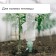 Auto -polyove for indoor plants, under a bottle, adjustable, with a tap, of plastic, height 17.5 cm, mix, Greengo