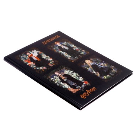 Diary solid cover 1-11 grade 40 sheets, Harry Potter, matte lamination-1