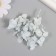 Sukhotzet "hydrangea" pale blue h = 6-6.5 cm