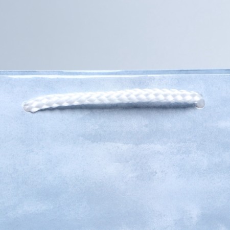 Gift laminated package, packaging, Pressent for You, Ml 21 x 25 x 8 cm-4