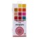 Watercolor 24 colors Gamma "Ornament", honey, without brush, plastic packaging, euro suspension