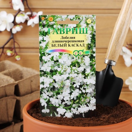 Lobelia flowers ampelous "White Cascade", 0.01 g-2
