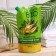Hair shampoo "Charm of Bio", with phytochetin, recovery and shine, 500 ml
