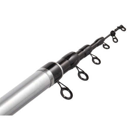 The float rod with the rings of Salmo Diamond Bolognese Medium M, test 5-20 g, length 5 m.-3
