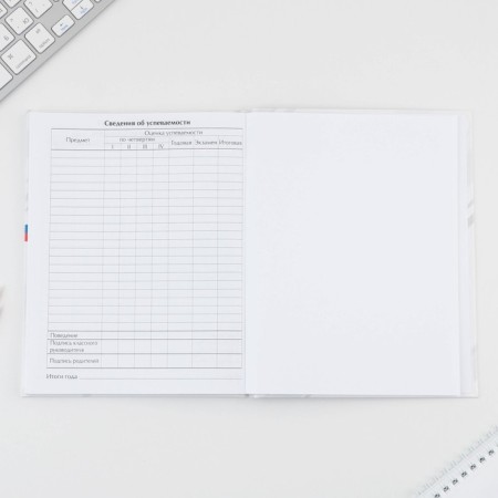 School Diary 5-11 Grade "September 1: Russia", solid cover 7BC, glossy lamination, 48 sheets-7