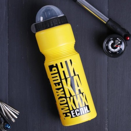 Water bottle "can", mix, 750 ml-1