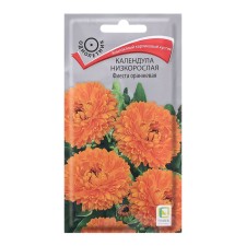 Seeds of flowers of calendula stunted 