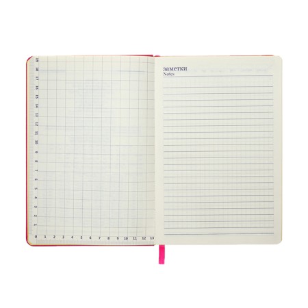 Leduced Diary A5, 140l, cell, leatherette, elastic band, yellow cut, fuchsia-10