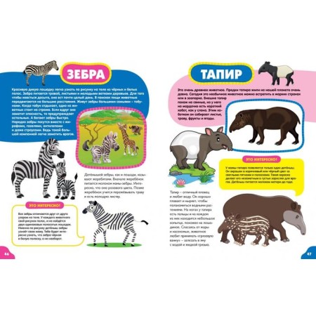 Animals for kids-10