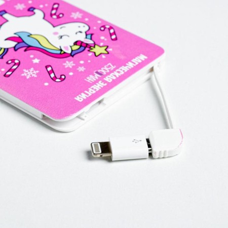 Charger "Fight Magic", 2500 MAH-9