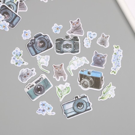 Stickers for creativity "Cats, blue flowers and photos" 3.5x5 cm set 40 pcs 9.4x8.4x0.5 cm