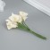 Decorative flower for the creativity of "Calla" Ivory