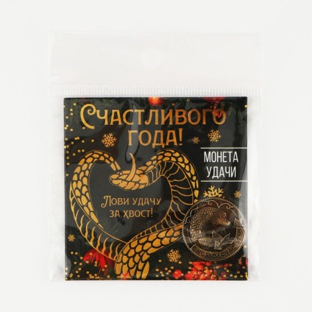 Coin New Year's amulet "New Year: Happy Year", Diam 2.5 cm-6