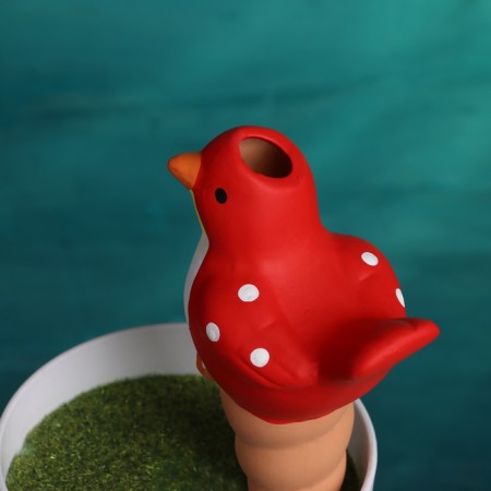 The irrigator "Bird", 16.5 × 8.5cm, color mix, set 4 pcs.-5
